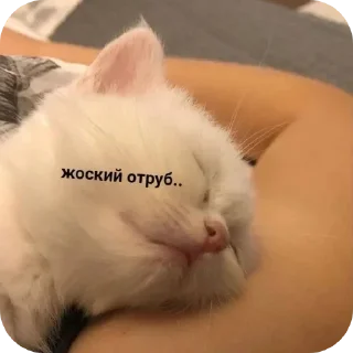 Video sticker 😴 Больше стиков тут: @stikery4
