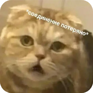 Telegram stiker 🤨 Больше стиков тут: @stikery4