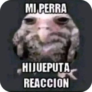 Telegram sticker 🙁 Mamadas como las que da CC