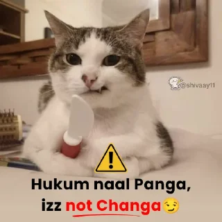 Video sticker 🗿 Kem chooo @shivaay11