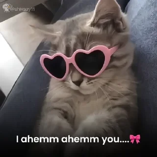 Telegram sticker 😘 Kem chooo @shivaay11
