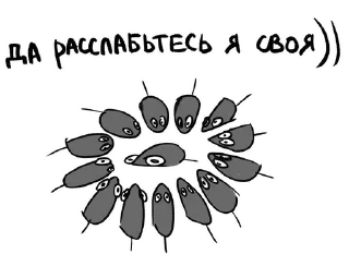 Video sticker 🐀 Криски :: @fStikBot