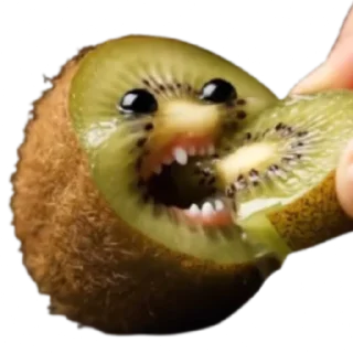 Telegram sticker 🥝 @klopfklopfm  fruits → hunger → cannibalism ↺