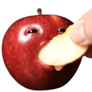 Video sticker 🍎 @klopfklopfm  fruits → hunger → cannibalism ↺