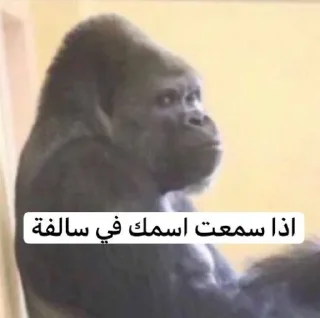 Sticker 🙈 Fajer @ccic0i