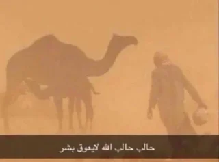 Video sticker 🚹 Fajer @ccic0i