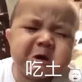 Video sticker 😭 代开✈️会员 @ML10086 业务频道 @laoqun10086