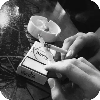 Video sticker ✋ The. @mz_pq . @ap_bx .