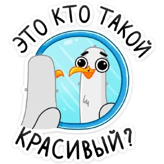 Sticker 😍 Чайка Сэм (@TgSticker)