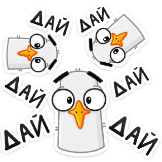 Video sticker 🥺 Чайка Сэм (@TgSticker)