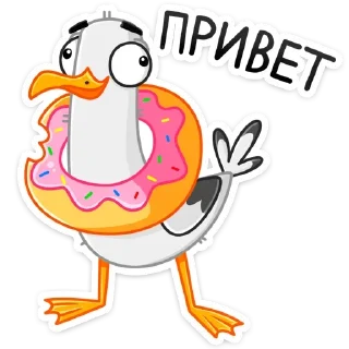 Video sticker 👋 Чайка Сэм (@TgSticker)