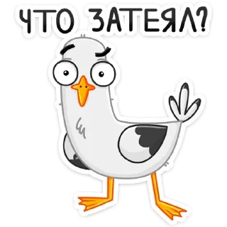 Telegram sticker 🤔 Чайка Сэм (@TgSticker)