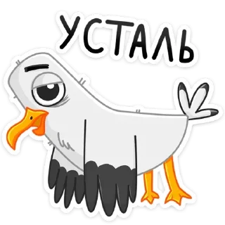 Telegram sticker 😩 Чайка Сэм (@TgSticker)