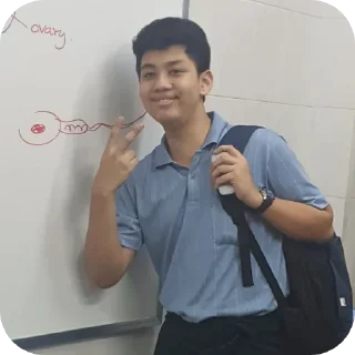 Video sticker 🧍 Gyo phyu