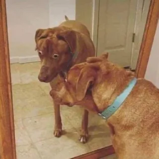 Video sticker 🫐 adhd vs autism rap battle @cklatcd