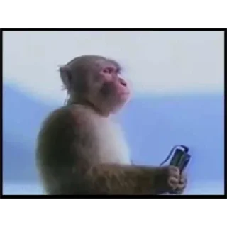 Telegram sticker 🫐 adhd vs autism rap battle @cklatcd