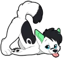 Video sticker 🍑 Reverb Husky