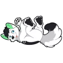 Video sticker 🐶 Reverb Husky