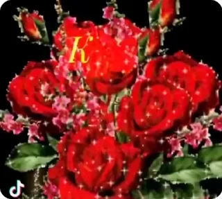 Video sticker 🌟 кисины стики :: @fStikBot