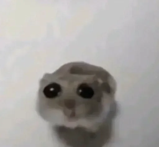 Telegram sticker 🐀 @o_mf2 @TgEmojis_bot