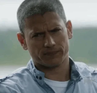 Video sticker ⛓ Prison Break