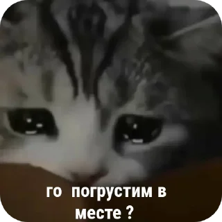 Telegram sticker 😕 ·•• печетает