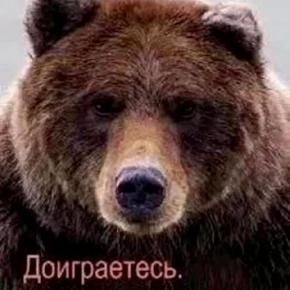 Video sticker 😒 43 мисд колс @missedcalls43