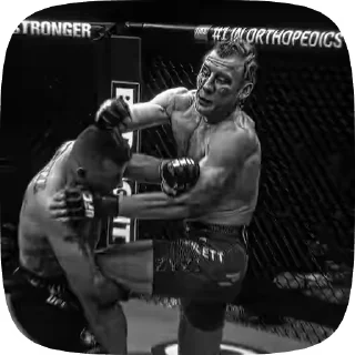 Video sticker 🌟 UFC Pack by tripathi @getapks1 :: @fStikBot