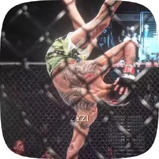 Video sticker 🌟 UFC Pack by tripathi @getapks1 :: @fStikBot