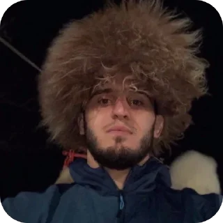 Video sticker 🫥 Махачев