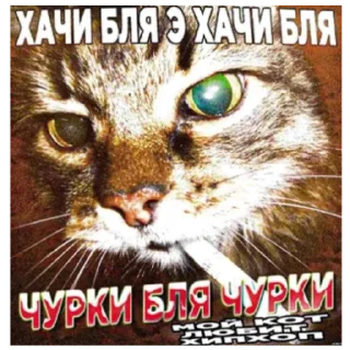 Telegram sticker 🧔 киннпечк