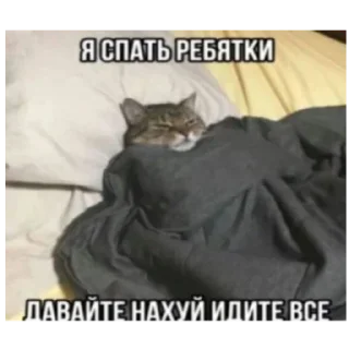 Telegram sticker 🌃 киннпечк