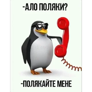 Video sticker 🐦 Укр піздец