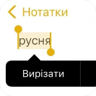 Telegram sticker 📄 Укр піздец