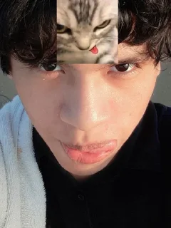 Telegram sticker 🤔 Cherry Steal Pack 2