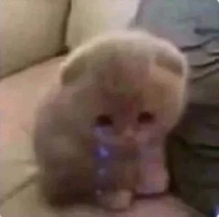 Telegram sticker 🤔 Cherry Steal Pack 2