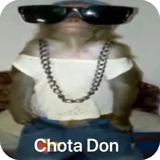 Telegram sticker 🫥 Bkc😛🤙