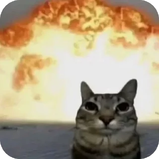 Video sticker 🫥 Bkc😛🤙