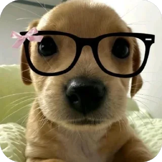 Sticker 🫥 Bkc😛🤙