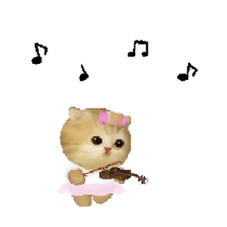 Video sticker ⭐ 모요묘묘 @moe_sticker_bot