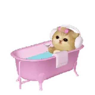 Telegram sticker ⭐ 모요묘묘 @moe_sticker_bot