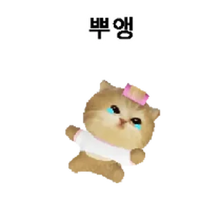 Video sticker ⭐ 모요묘묘 @moe_sticker_bot