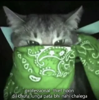 Telegram sticker 🙂 Kyo's Sticker Pack (@Zeroo_Twoo_Bot)