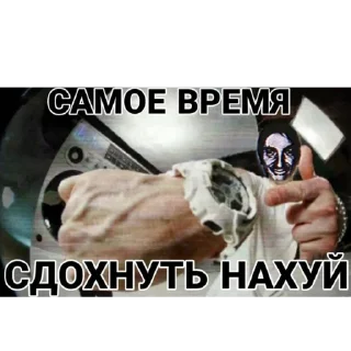 Video sticker 👁️‍🗨️ каталог выгу выгу выгу