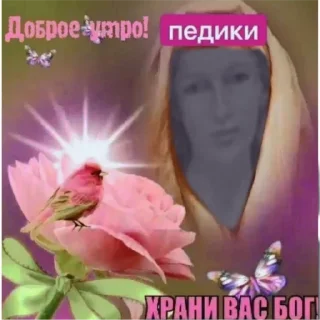 Telegram sticker 👁️‍🗨️ каталог выгу выгу выгу