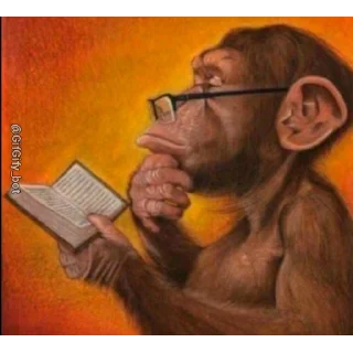 Video sticker 🤔 Nokadota 1