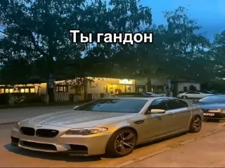 Video sticker 😅 @stickeri_tg <-- стикеры тут