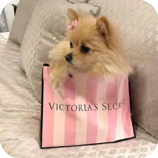 Telegram stiker 🎀 zavisay.xx🎀 2000’s vibe @zavisayxx