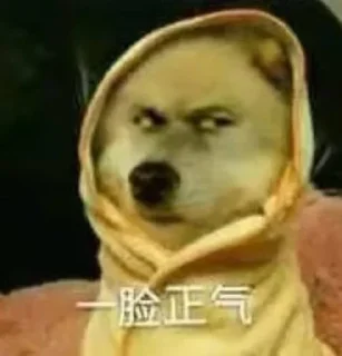 Sticker 🌟 蛇皮宝贝1@Snake07 :: @fStikBot