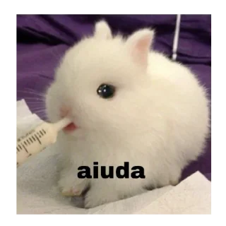 Telegram sticker 🐰 wonejo :: @fStikBot